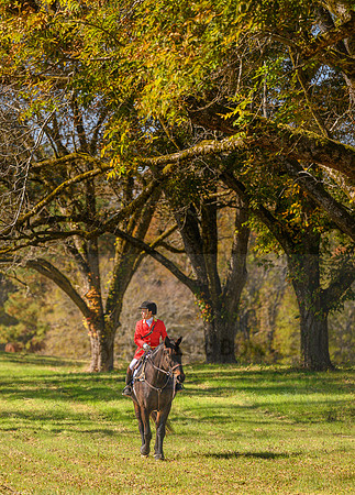 Belle Meade_20231104_395194