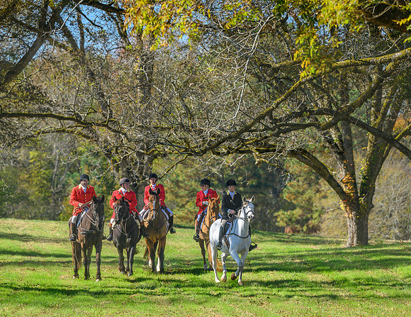 Belle Meade_20231104_395195