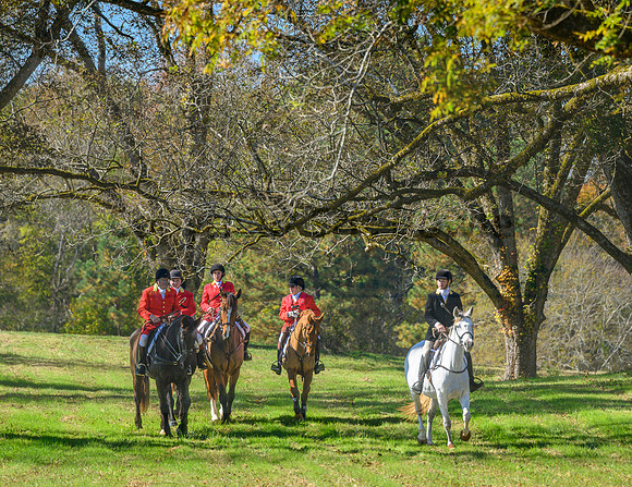 Belle Meade_20231104_395196