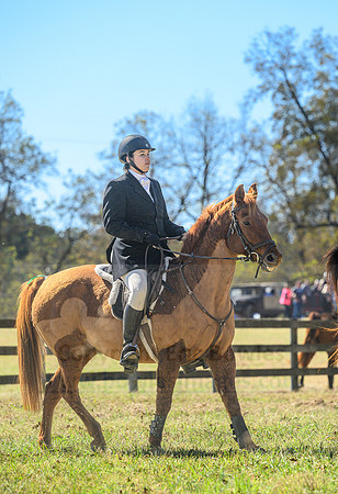 Belle Meade_20231104_395223