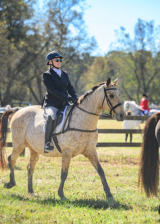 Belle Meade_20231104_395227
