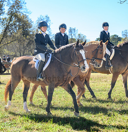 Belle Meade_20231104_395235