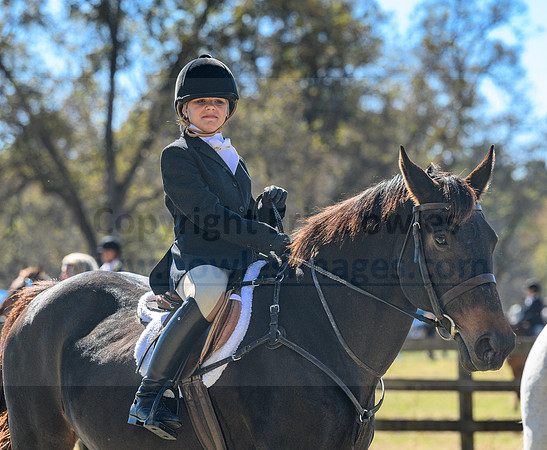 Belle Meade_20231104_395242