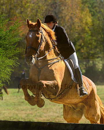 Belle Meade_20231104_395371