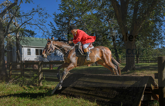 Belle Meade_20231104_395860