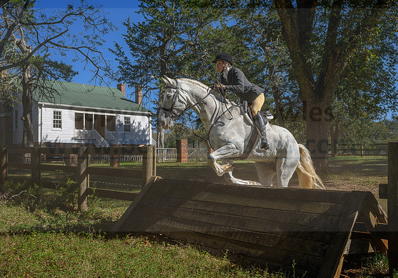 Belle Meade_20231104_395872