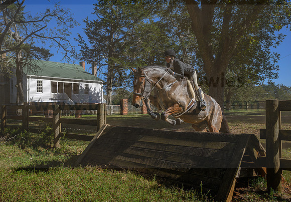 Belle Meade_20231104_395882