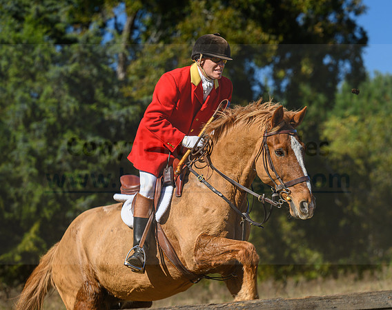 Belle Meade_20231104_395940