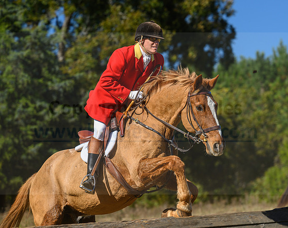 Belle Meade_20231104_395941