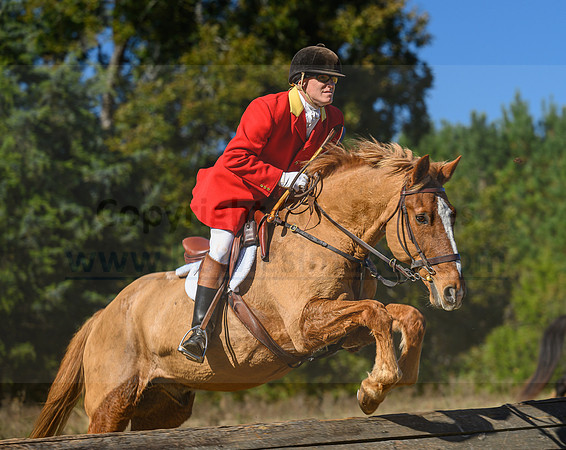 Belle Meade_20231104_395942