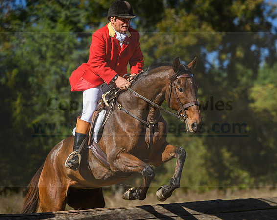 Belle Meade_20231104_395949