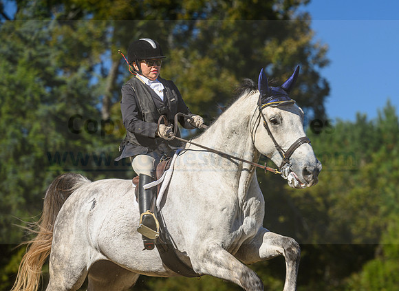 Belle Meade_20231104_395964
