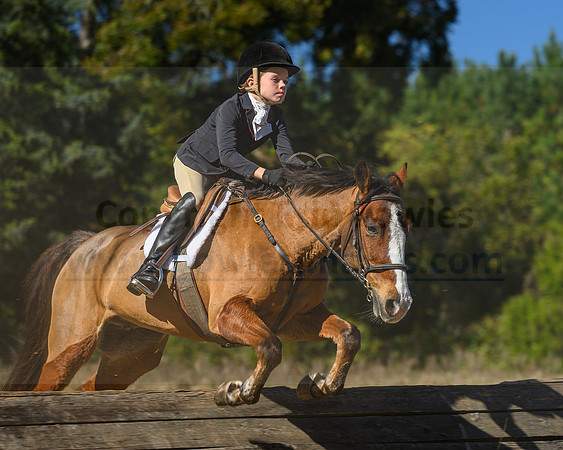 Belle Meade_20231104_395977