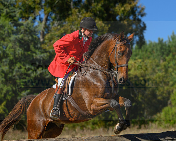 Belle Meade_20231104_395989