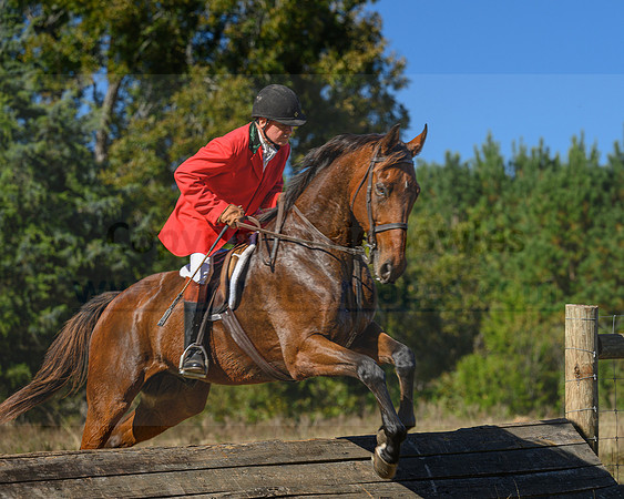Belle Meade_20231104_395990