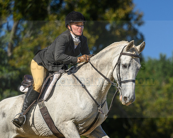 Belle Meade_20231104_396006