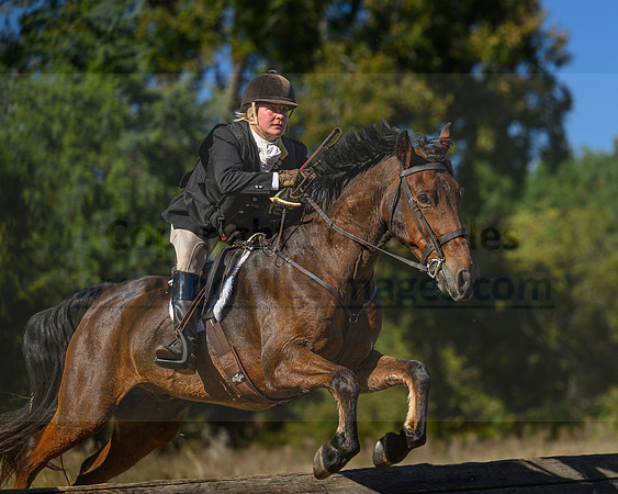 Belle Meade_20231104_396014