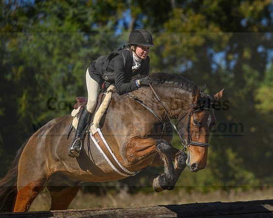 Belle Meade_20231104_396029