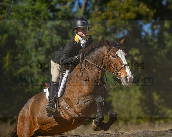 Belle Meade_20231104_396033