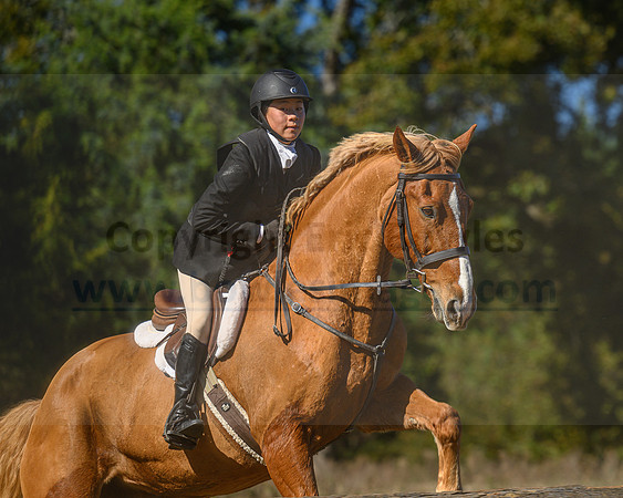 Belle Meade_20231104_396037