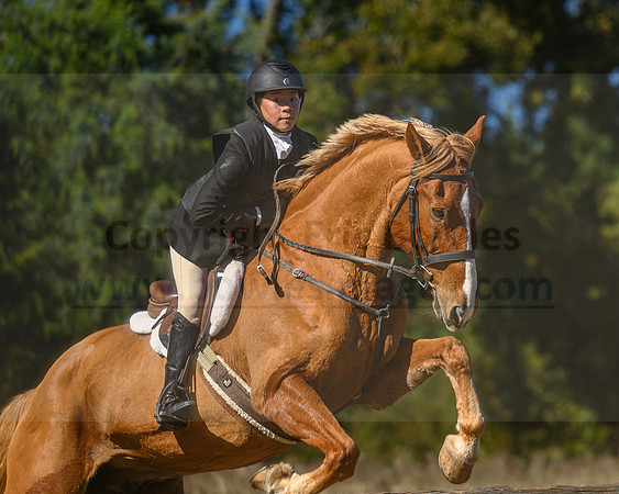 Belle Meade_20231104_396038