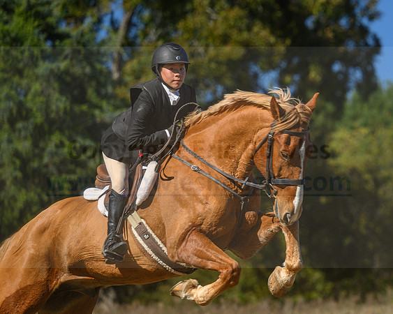 Belle Meade_20231104_396039