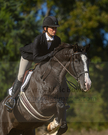 Belle Meade_20231104_396041