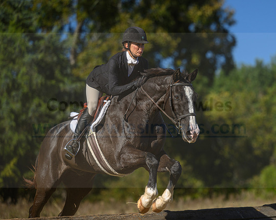 Belle Meade_20231104_396043