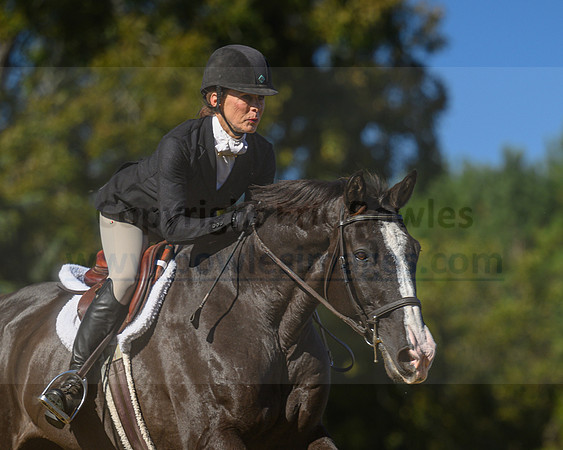 Belle Meade_20231104_396044