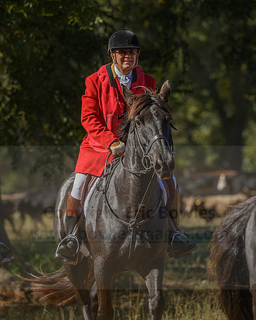 Belle Meade_20231104_396058