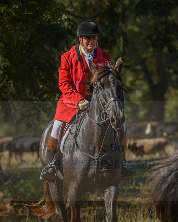 Belle Meade_20231104_396059