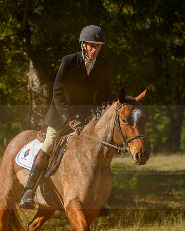 Belle Meade_20231104_396185
