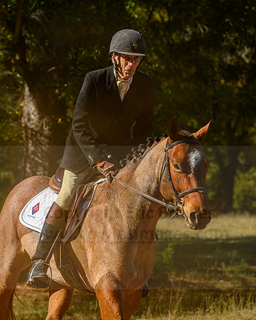 Belle Meade_20231104_396186