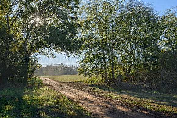 Belle Meade_20231104_396406