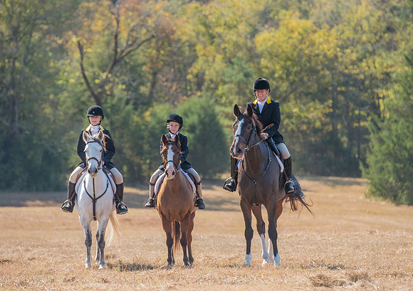 Belle Meade_228089_11-5-2016