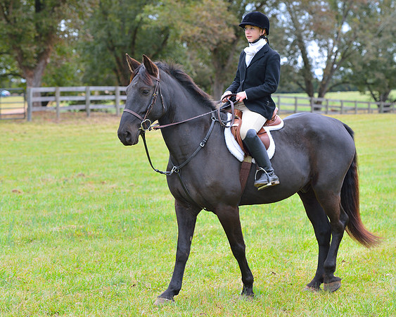 Belle Meade Opening Hunt 2014