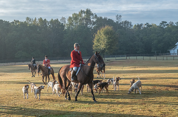 Shakerag_10-27-2018_287852