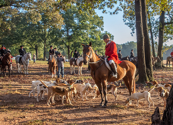 Shakerag_10-27-2018_286908