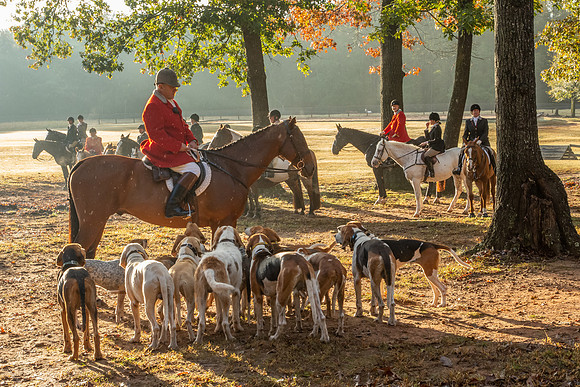 Shakerag_10-27-2018_286922
