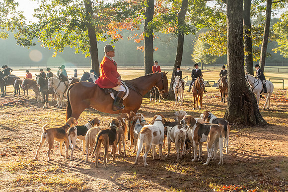 Shakerag_10-27-2018_286927