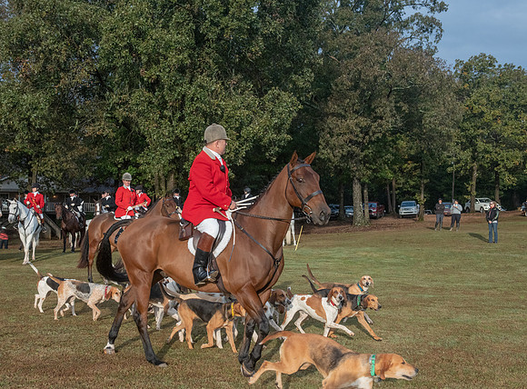 Shakerag_10-27-2018_287881