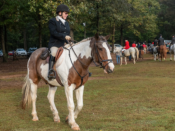 Shakerag_10-27-2018_287910