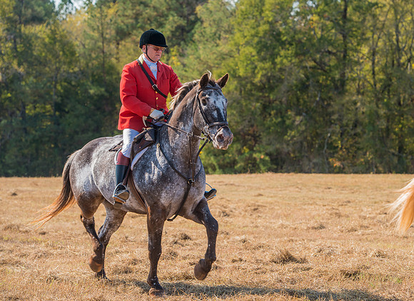 Belle Meade_228135_11-5-2016