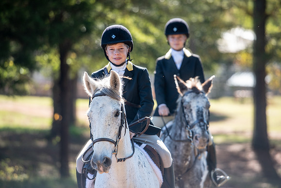 Belle Meade_11-3-2018_288066