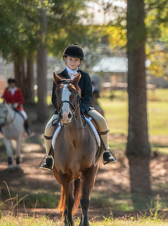 Belle Meade_11-3-2018_288078