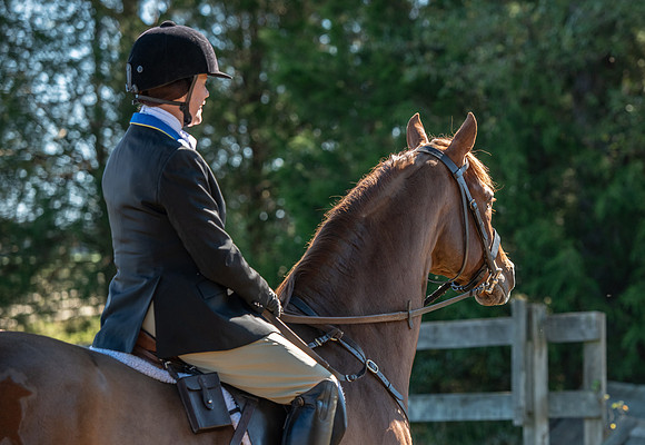 Belle Meade_11-3-2018_288101