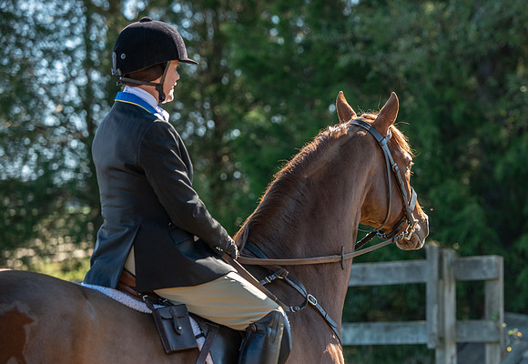 Belle Meade_11-3-2018_288102