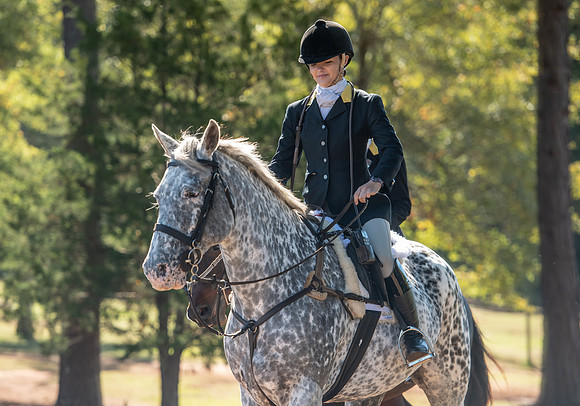 Belle Meade_11-3-2018_288112