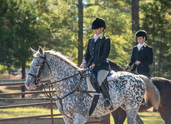 Belle Meade_11-3-2018_288113