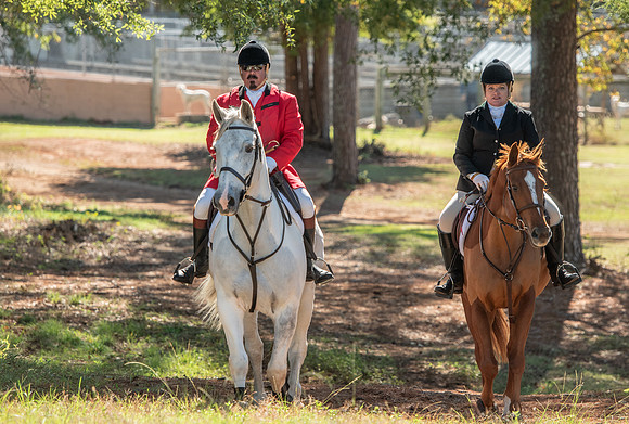Belle Meade_11-3-2018_288186